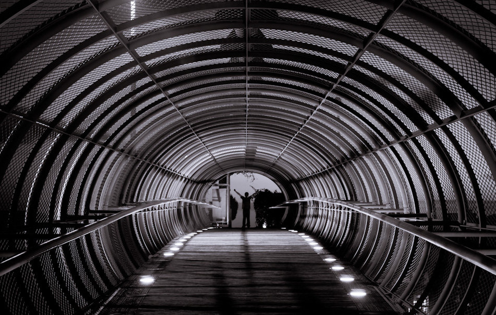 Exit Tube by Martin Cekada