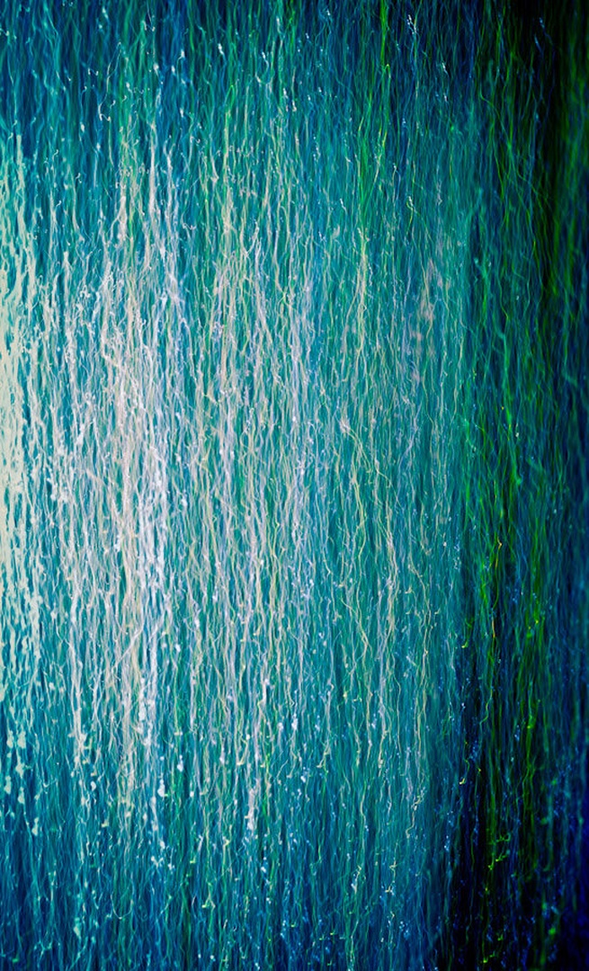 Paint by Martin Cekada