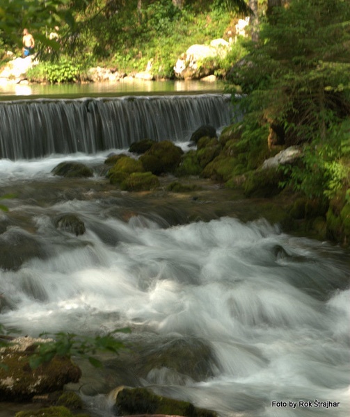 Na izviru Bistrice by Rok Štrajhar