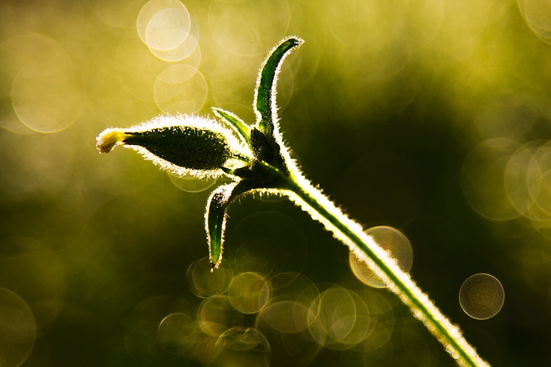 Life can be wonderful! by Zdravko Horvat