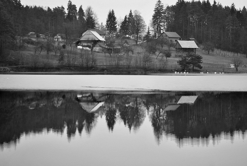 .... by M.Vogrinc