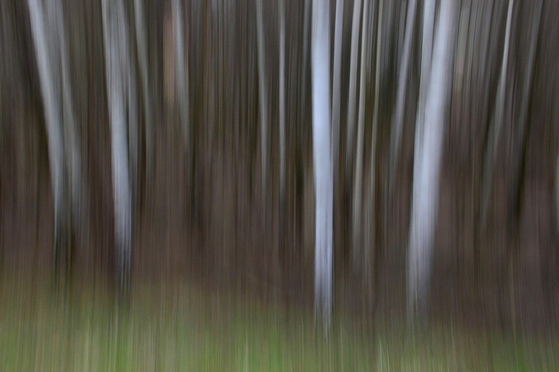 breze by M.Vogrinc
