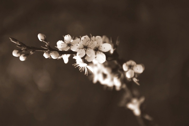 ... by M.Vogrinc