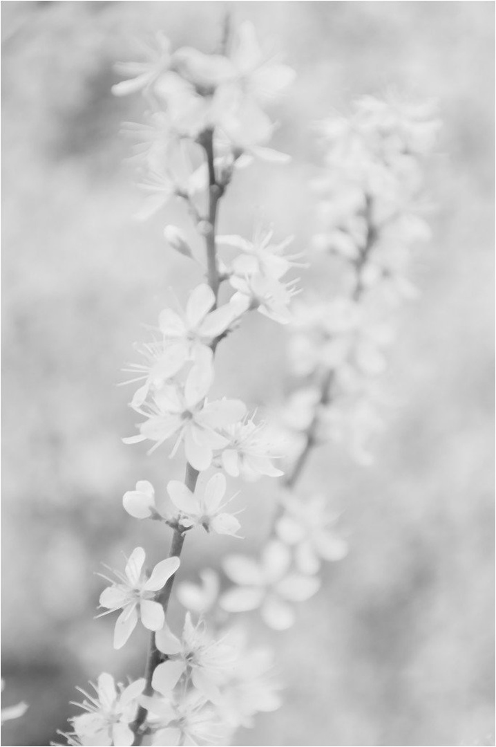 ... by M.Vogrinc