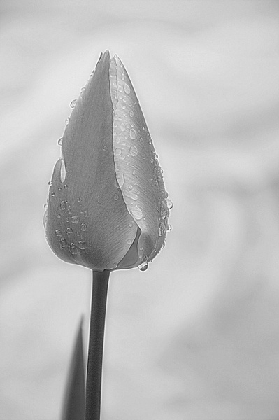 ... by M.Vogrinc