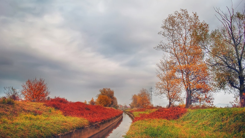 autumn by Katarina Veselič