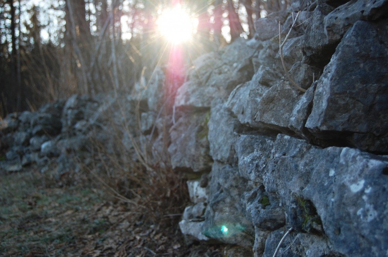another brick in the wall by Meta Škvarč