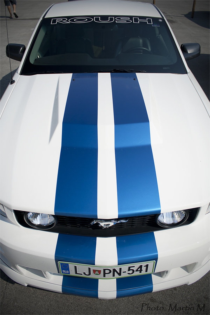 stripes by Martin Maglica