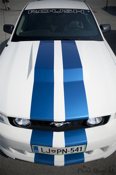 stripes by Martin Maglica