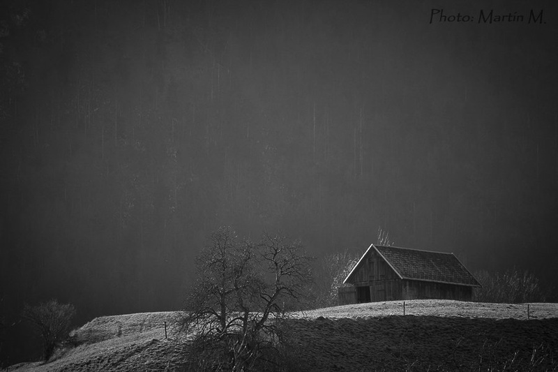 Skedenj by Martin Maglica