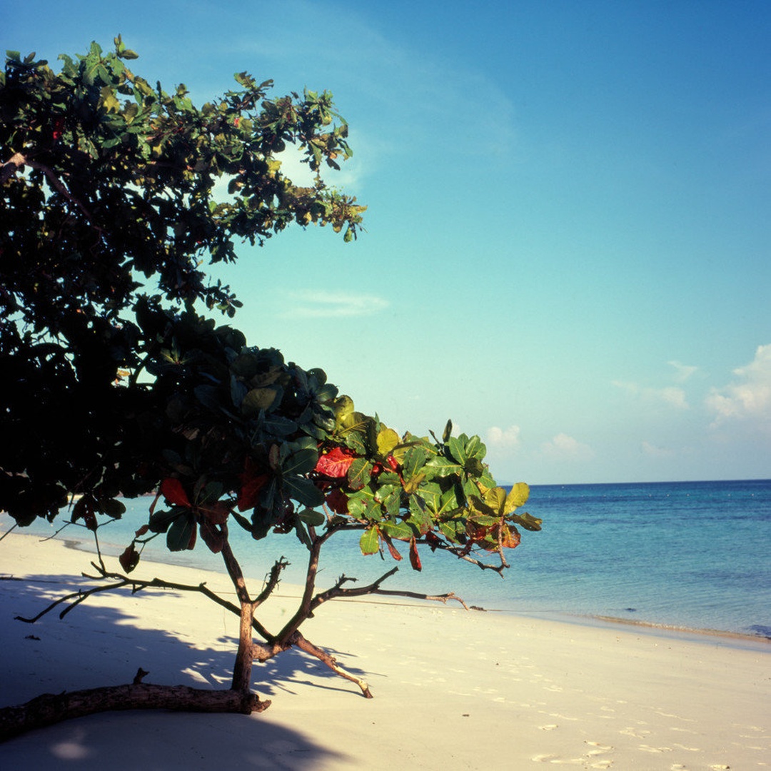 Koh Rok by Tilen Reljič