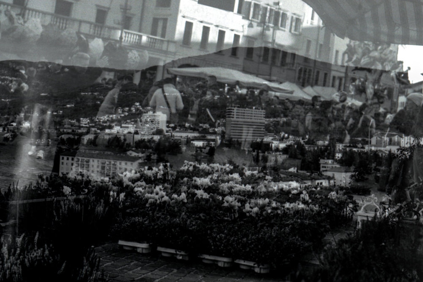 Belluno-Nova Gorica by Tilen Reljič