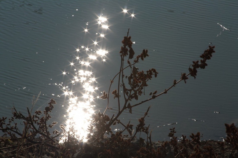 she was nothing but a vision trick under the warming light by Originalni Plagiat