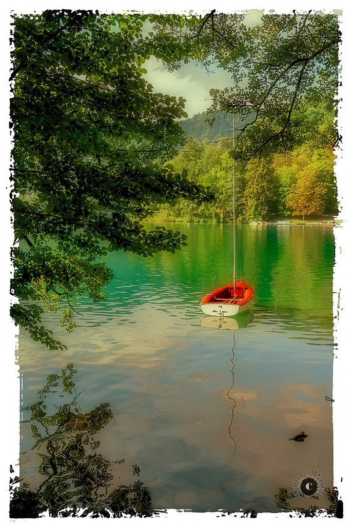 Barkica by Damir Ipavec