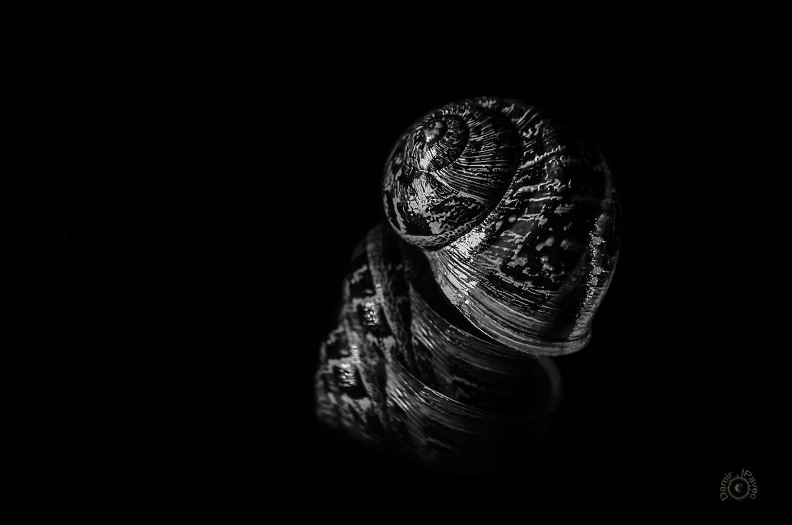 In the mirror by Damir Ipavec