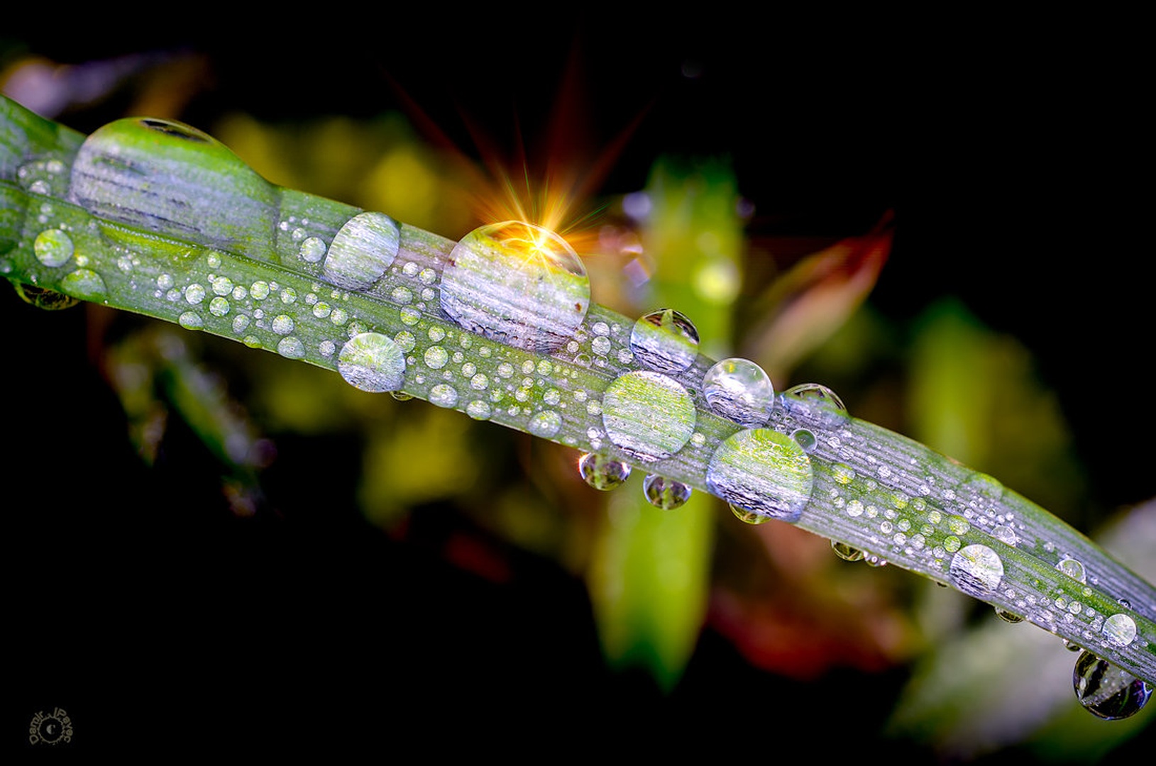 Power drops by Damir Ipavec
