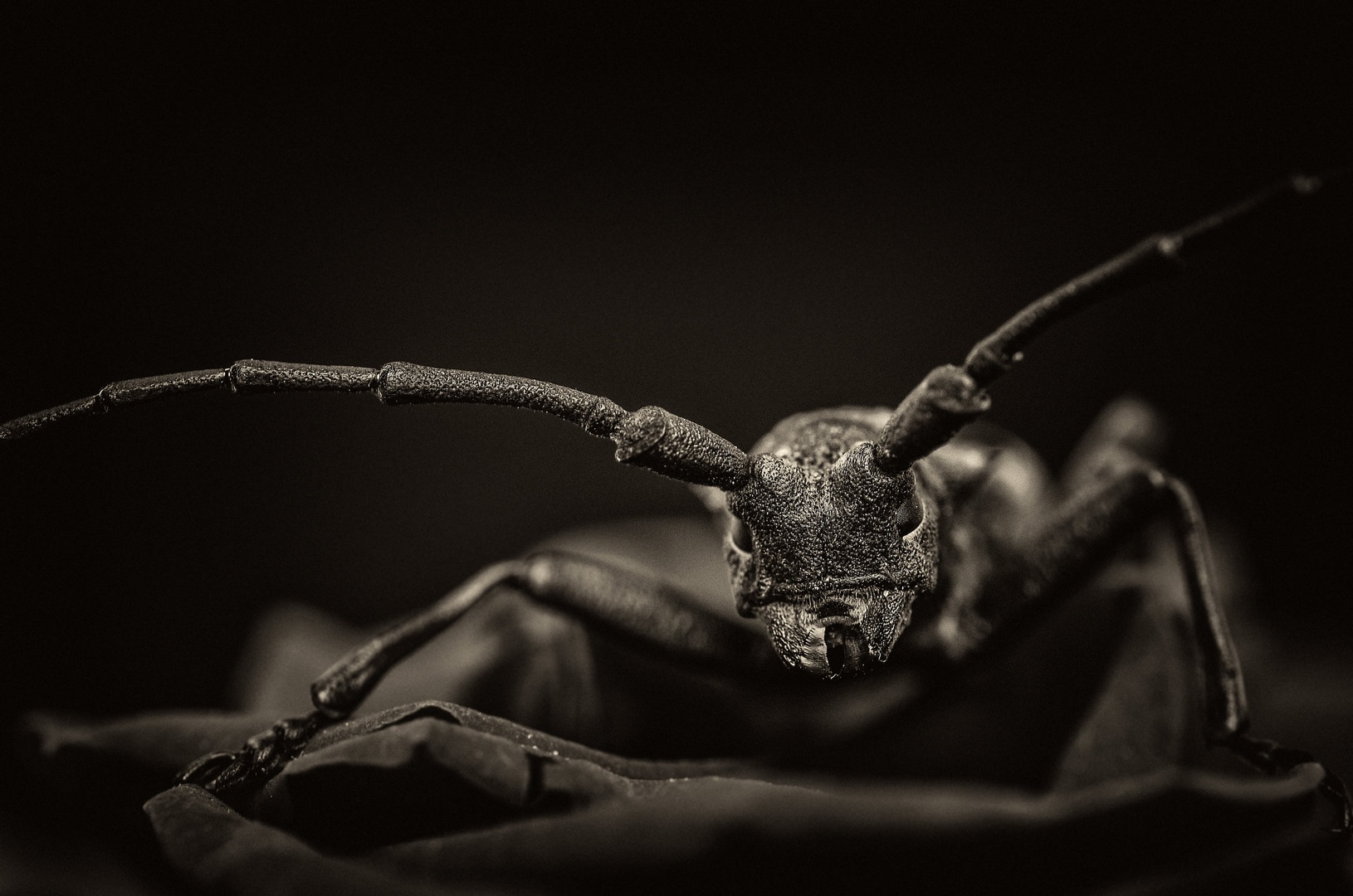 Kwa dogaja... by Damir Ipavec