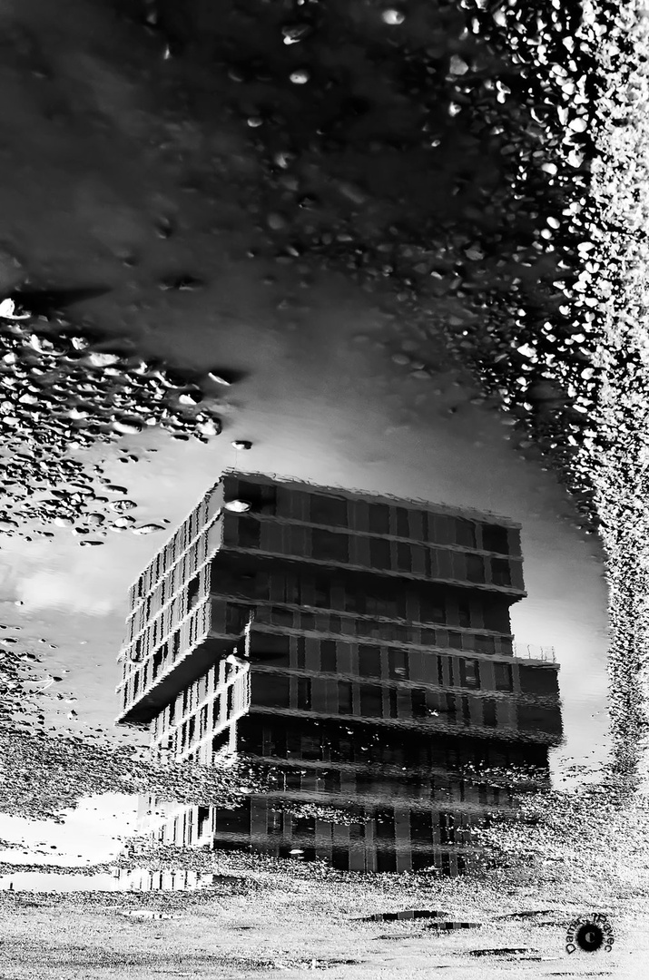 Reflection by Damir Ipavec