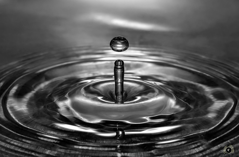 BW Drop by Damir Ipavec