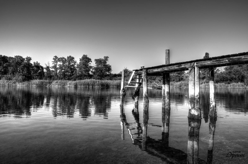 Reflection by Damir Ipavec