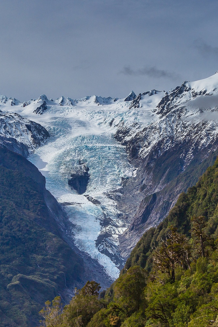 Franz Josef, NZ by Andrej