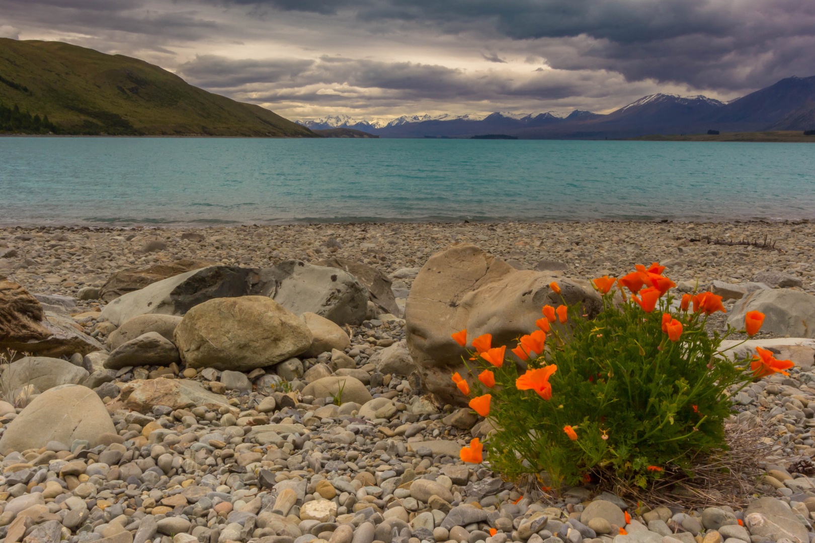 LAke Tekapo by Andrej