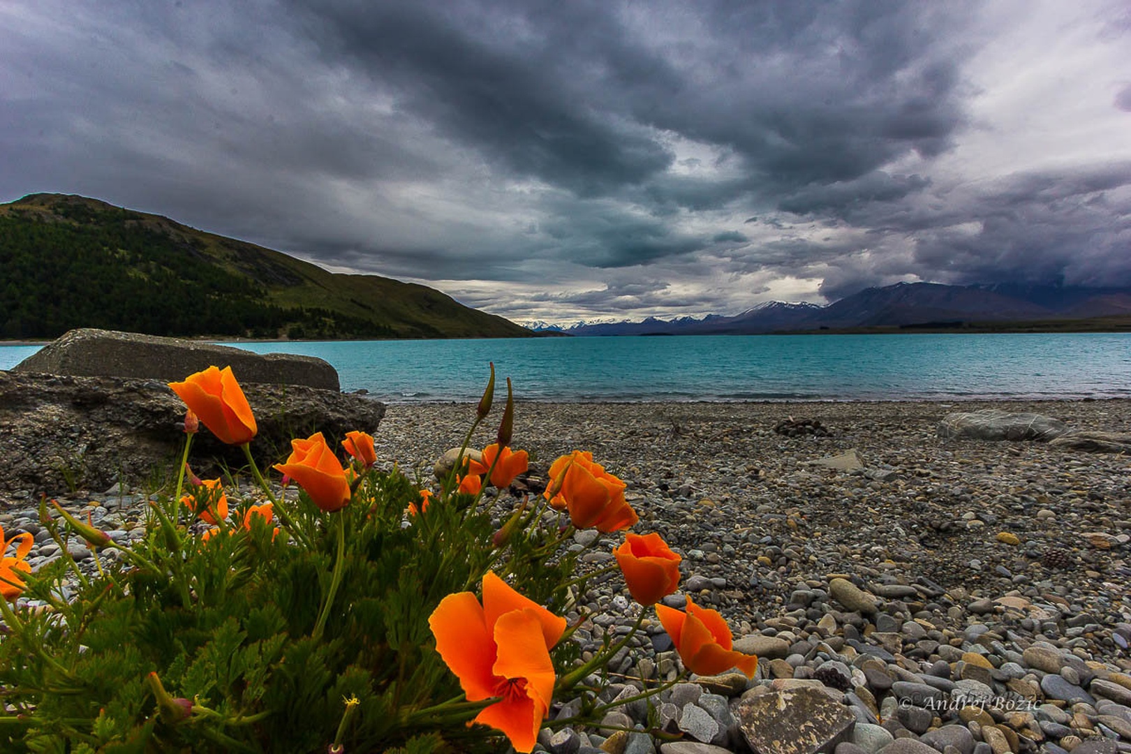 Tekapo2 by Andrej