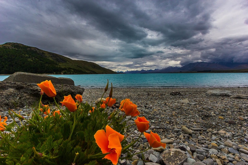 Tekapo2 by Andrej