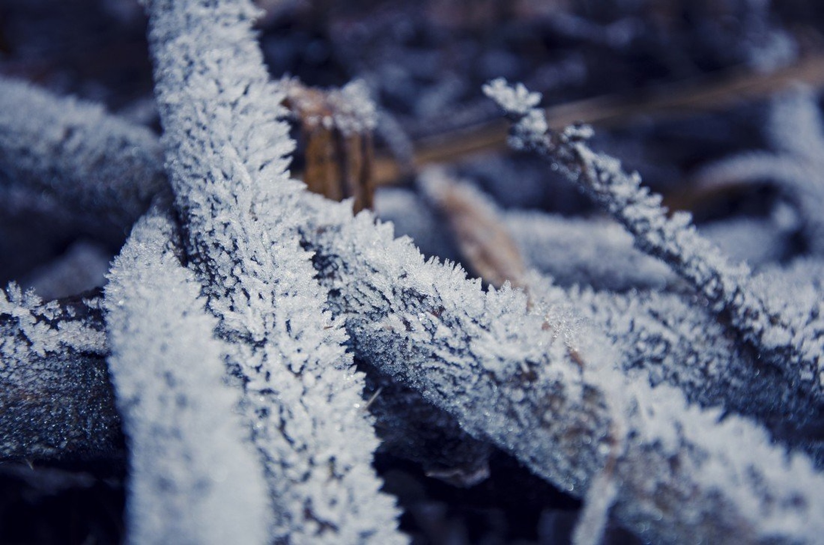 Frozen by Uroš Trobentar