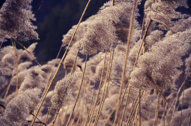 Wind by Uroš Trobentar