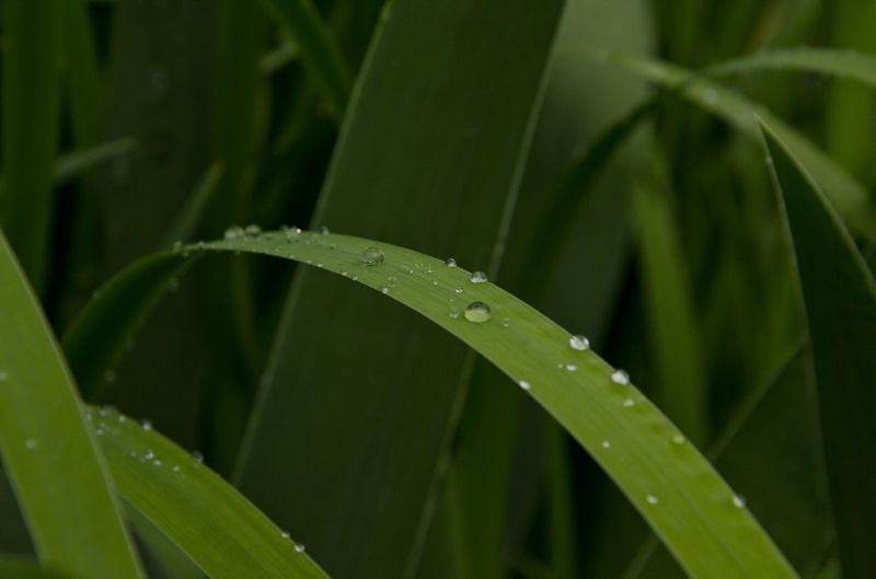 After Rain by Uroš Trobentar