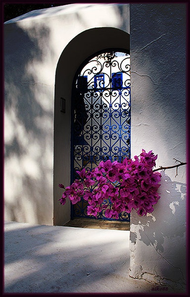 cvetje by Aleš Kolbl