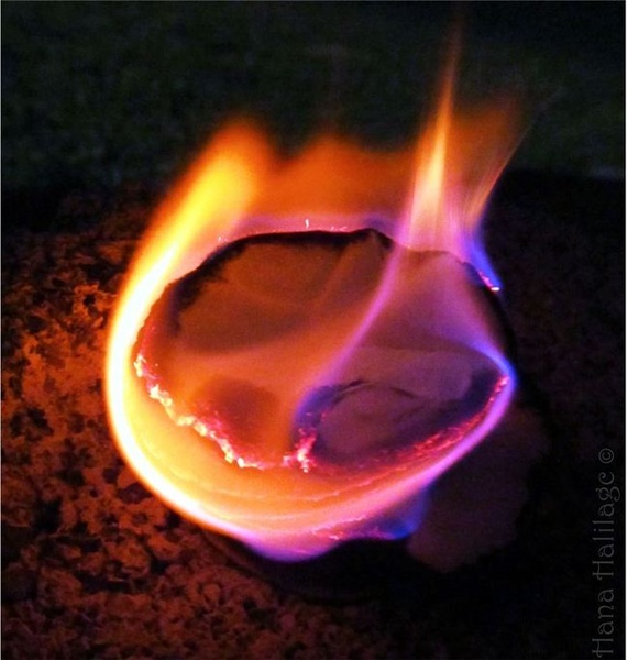 Burn it to the ground. by Hana Halilagic