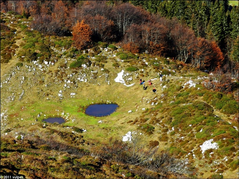 Tiny people by vulpes