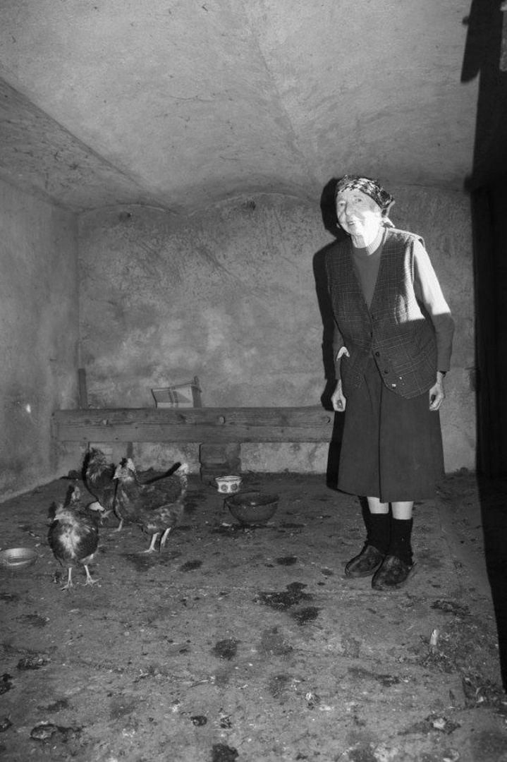 moje piške by tadej groboljsek