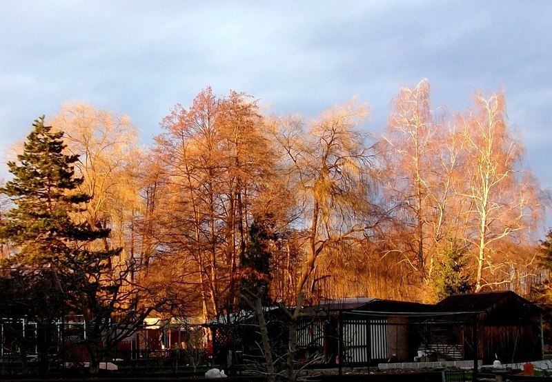 Sončni zahod by ZvoneS