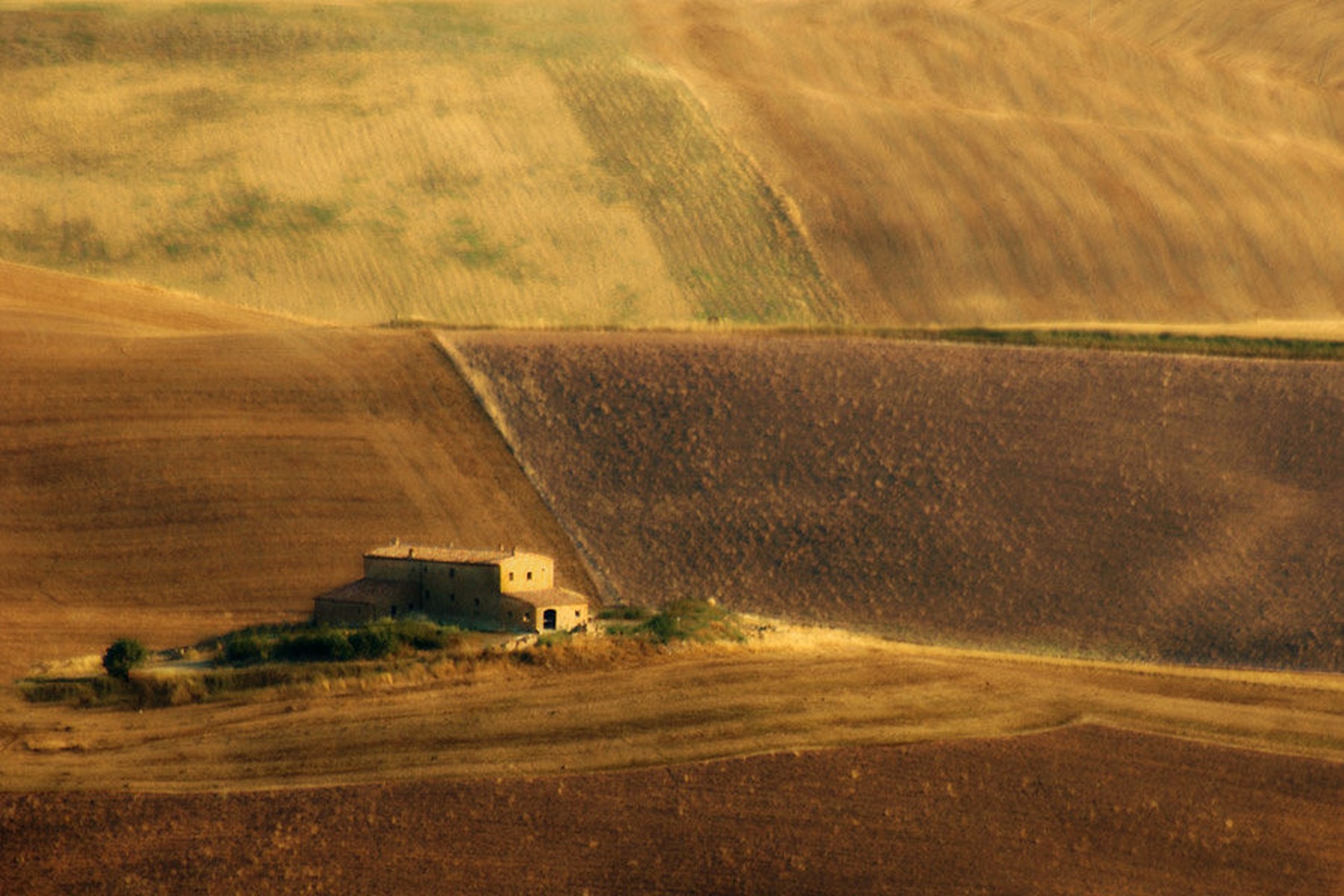 Barve julija by