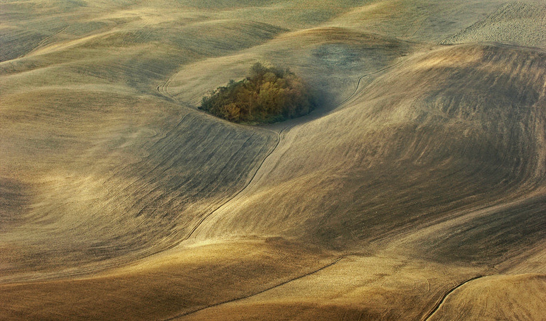 Osrčje by