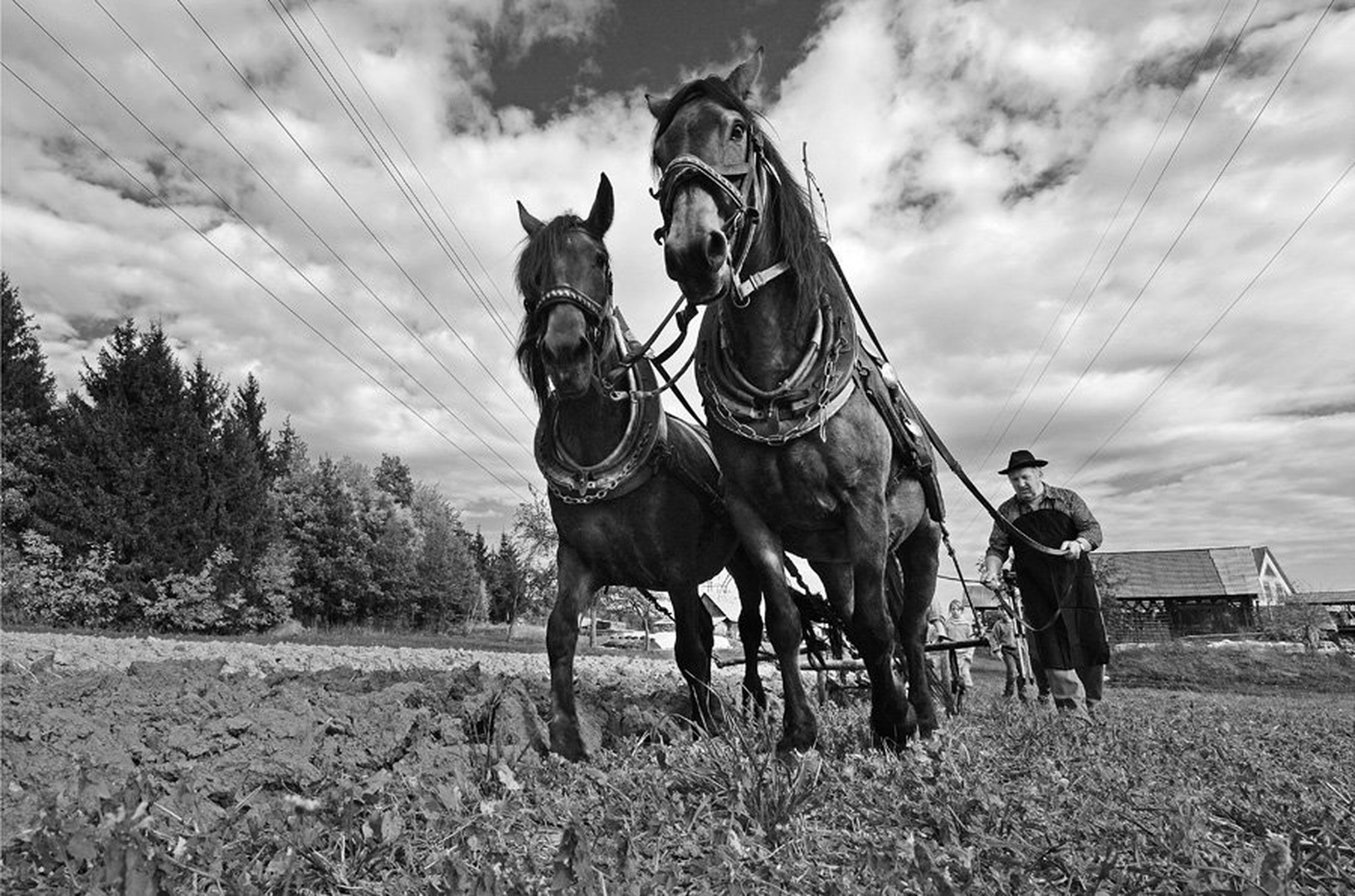 Na svoji zemlji II. by
