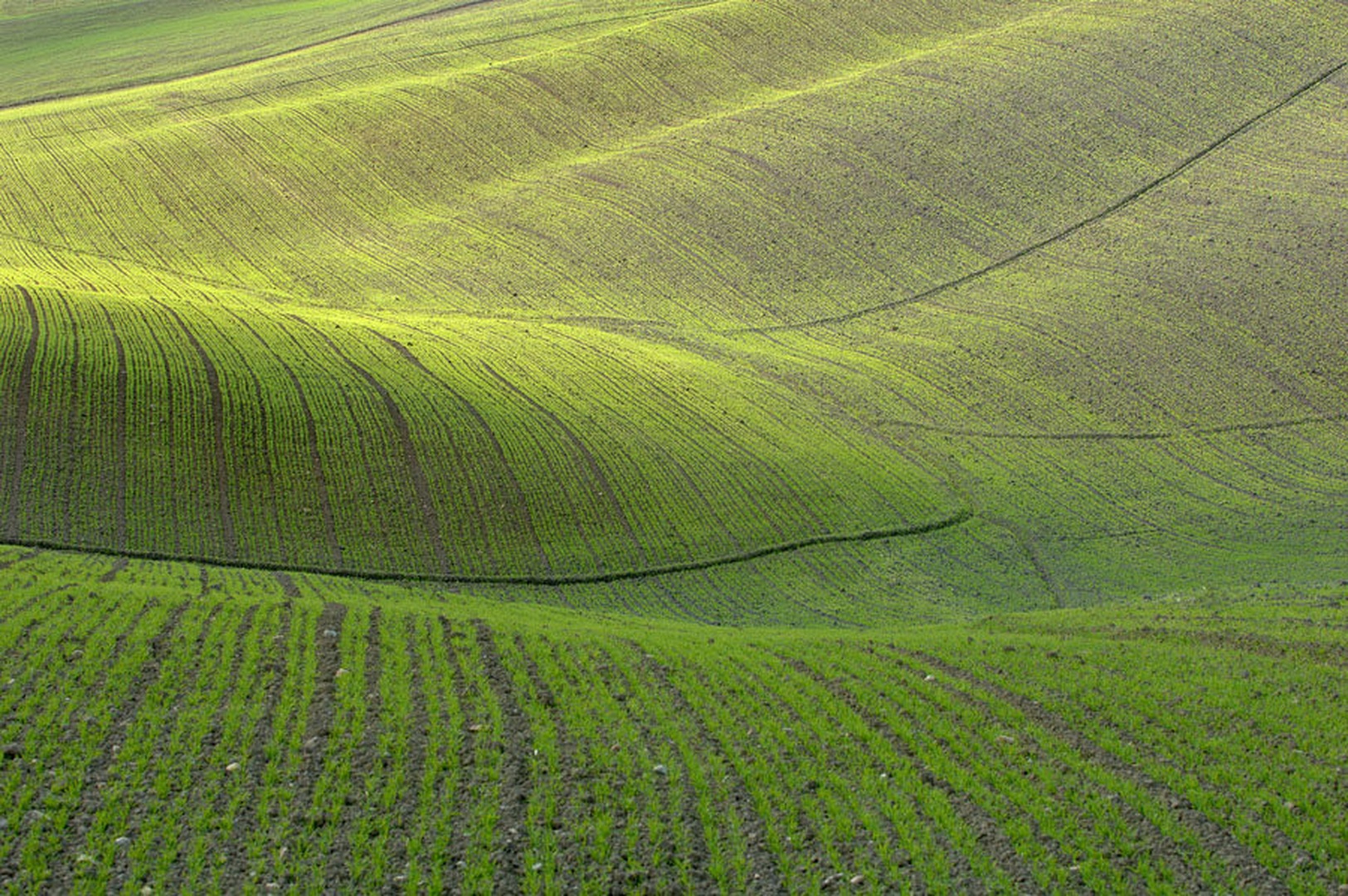 Dolina kruha by