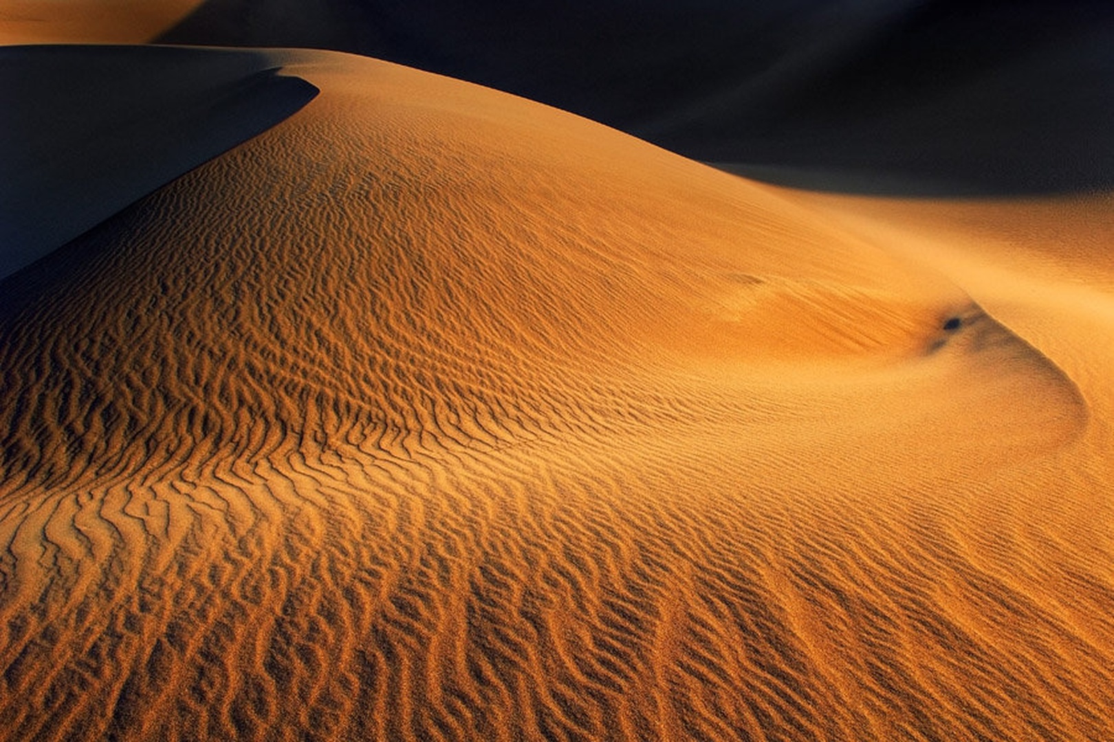 Zlate sanje by