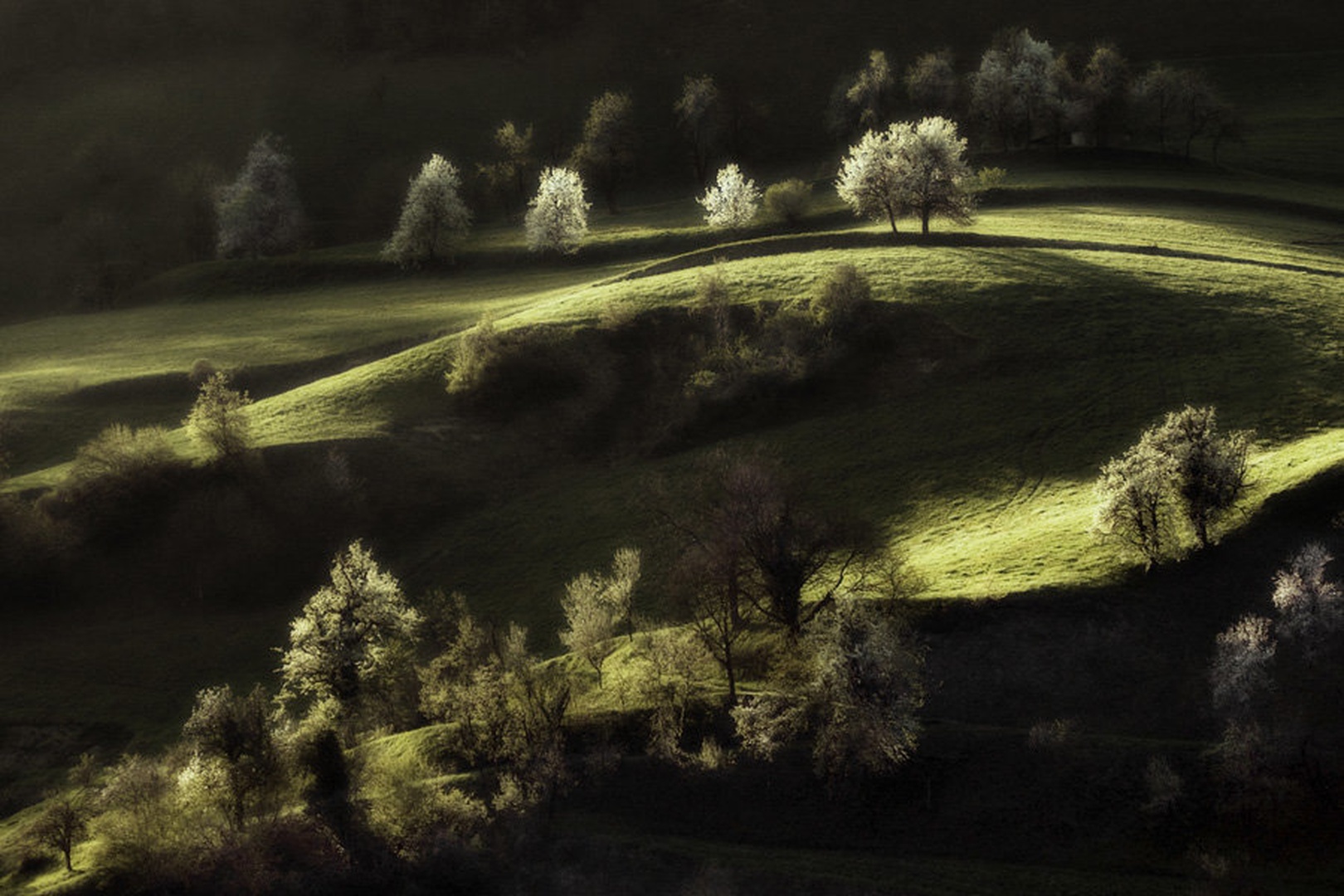 Pozdravljena,pomlad by