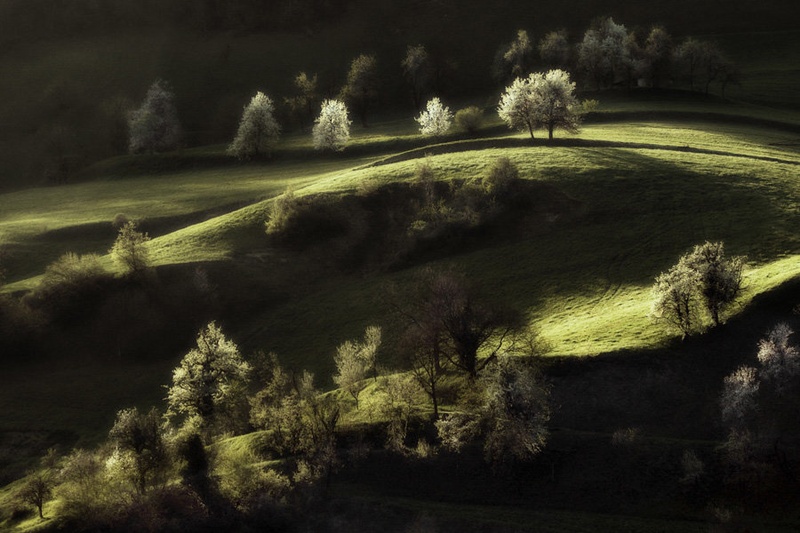 Pozdravljena,pomlad by yurko