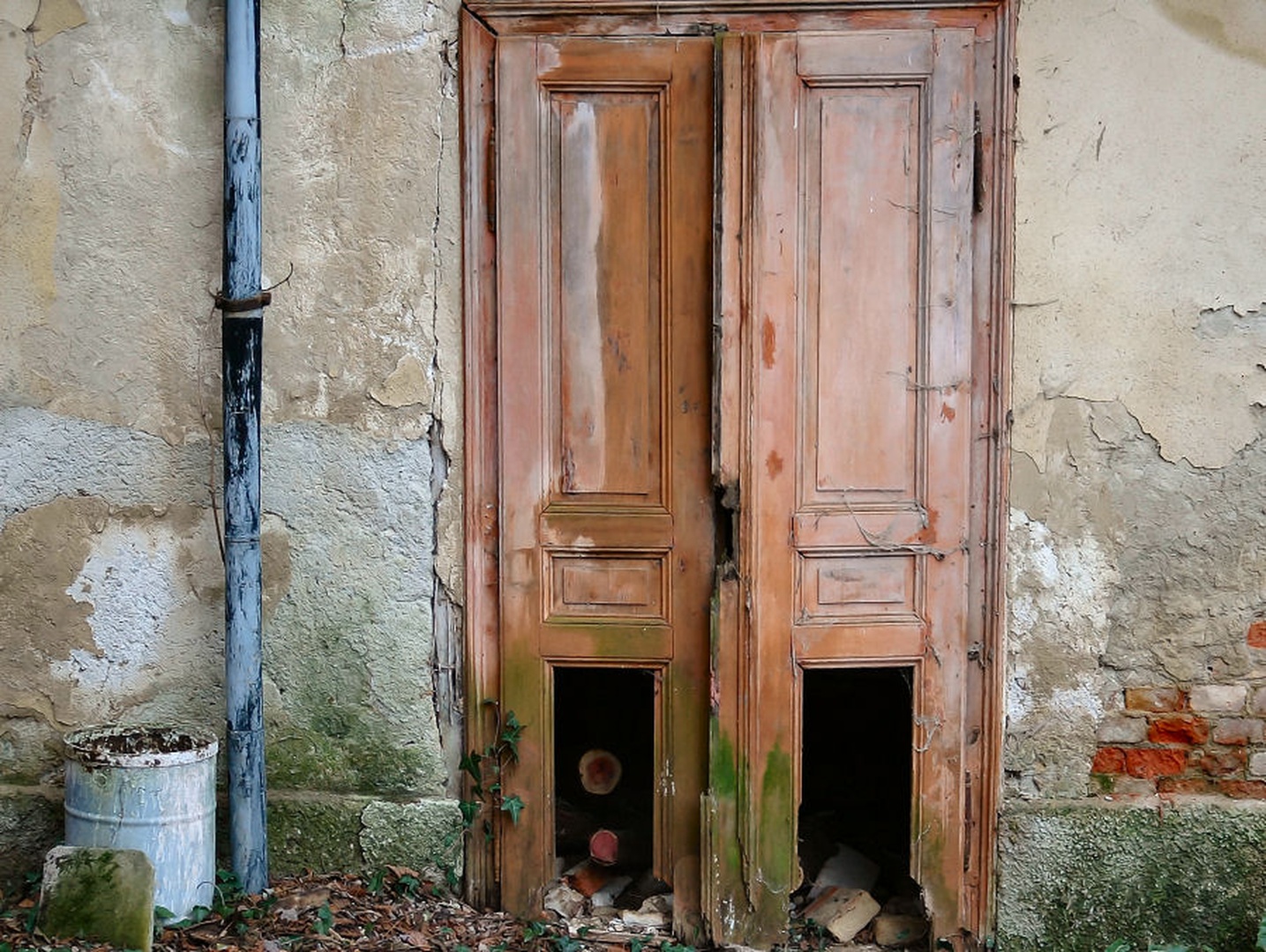 Minljivost by
