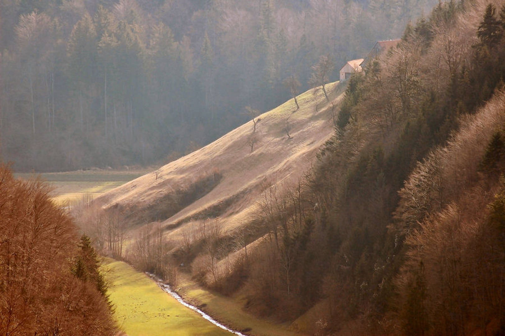 Dopoldanski sprehod by