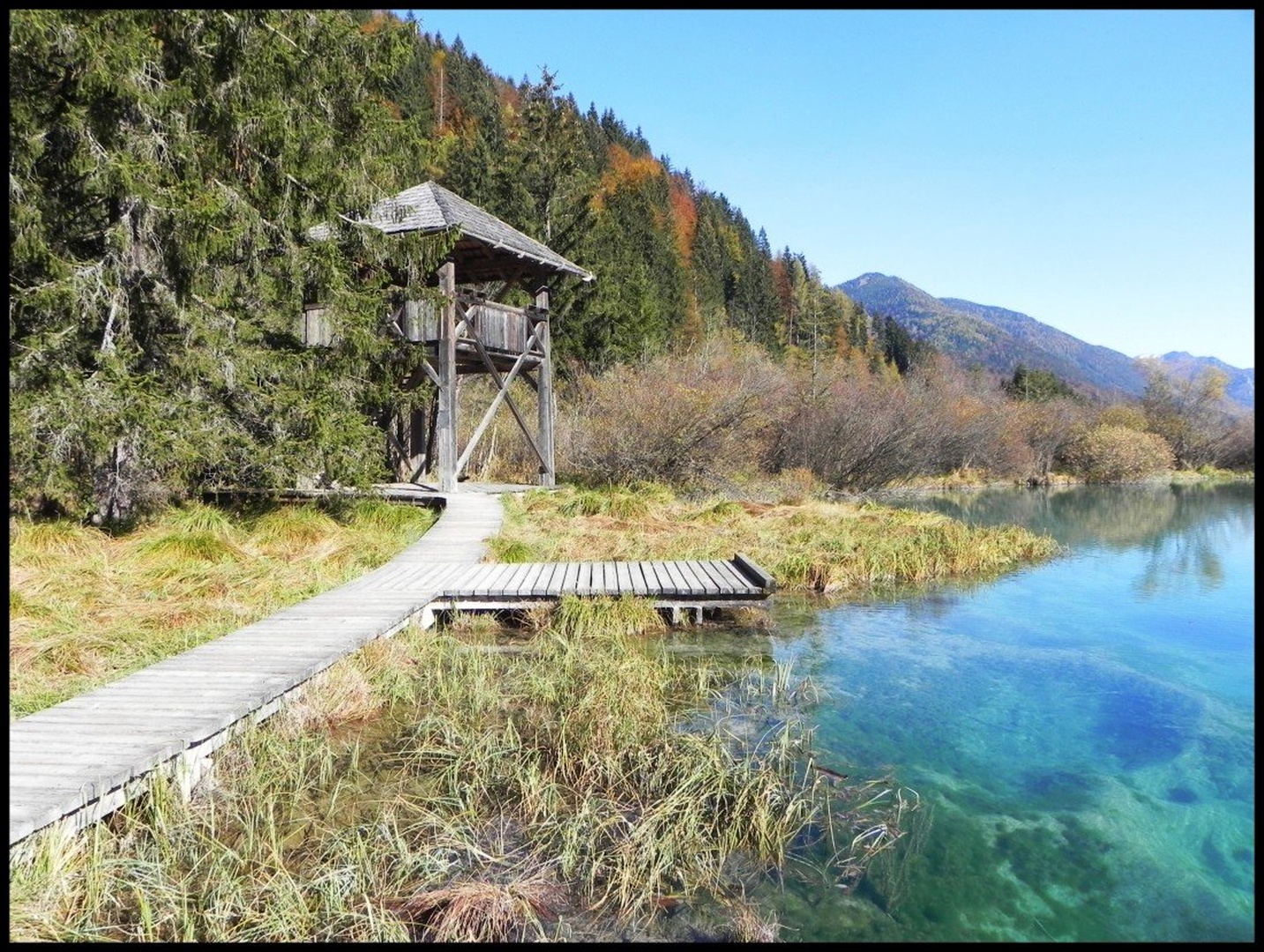 zelenci na sončen jesenski dan by kristinca
