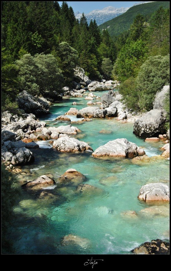 Soča by Taja Škerl