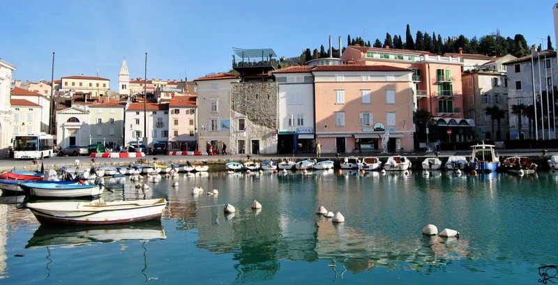 Piran by Taja Škerl