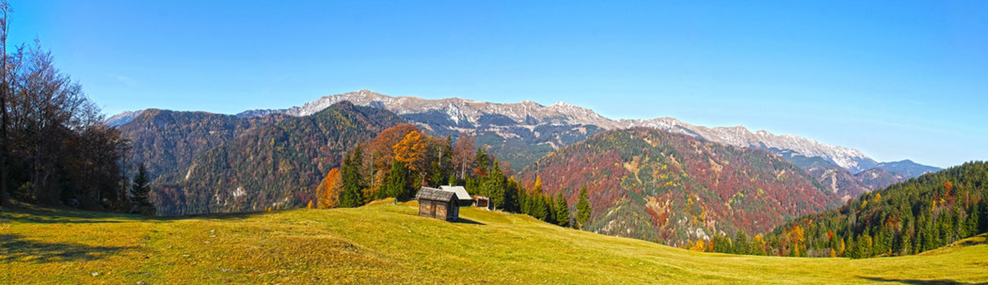 Panorama Košute by Dušan Podrekar