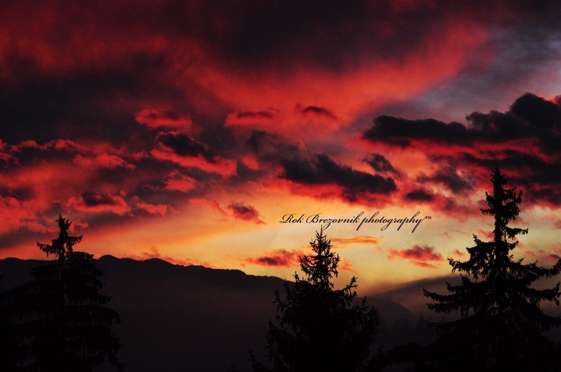 dreams by Rok Brezovnik
